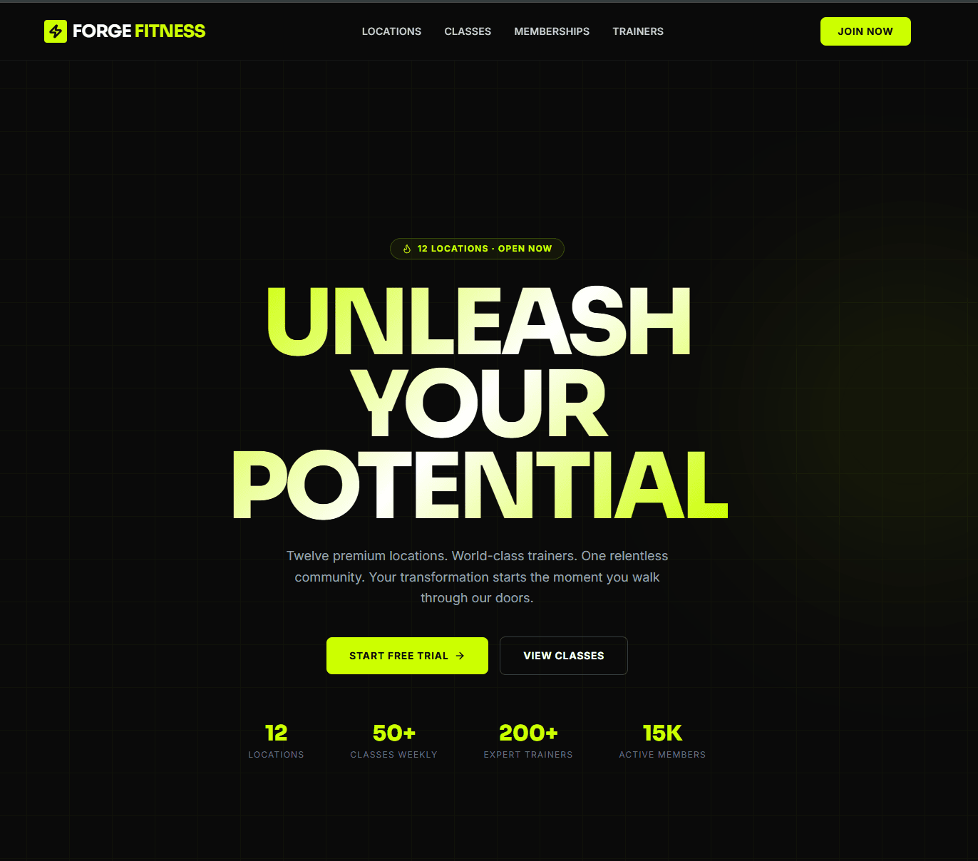 Multi-Location Gym & Fitness Chain website preview